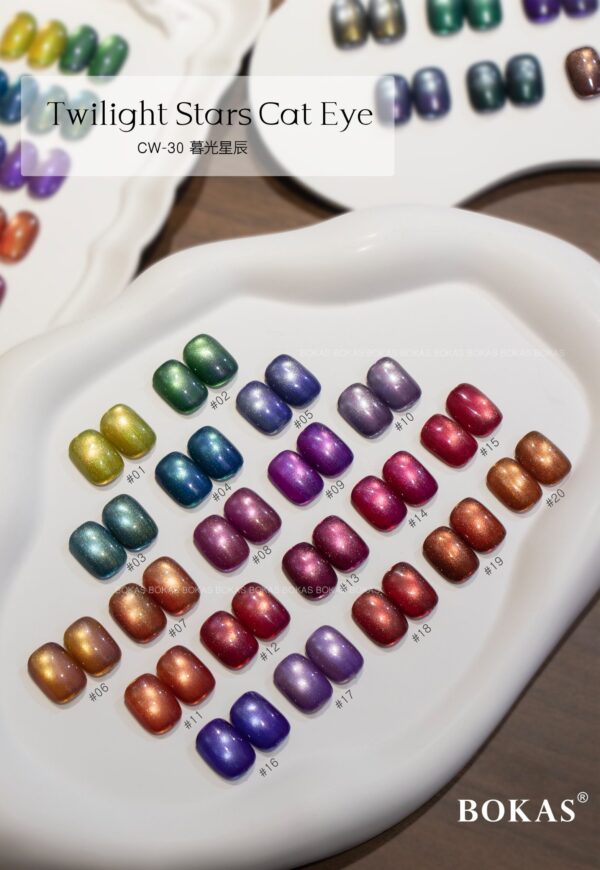 BOKAS CW-30 OEM/ODM 30 Colors Twilight Stars Cat Eye GeL Nail Polish