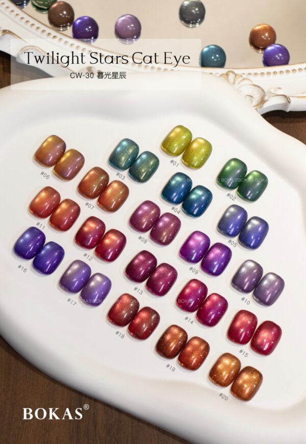 BOKAS CW-30 OEM/ODM 30 Colors Twilight Stars Cat Eye GeL Nail Polish