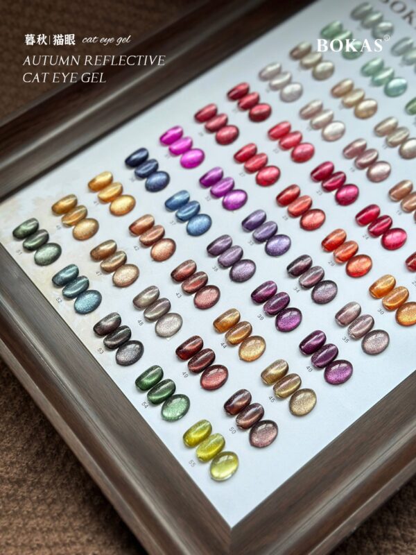 BOKAS DO-55 OEM/ODM 55 Colors Autumn Reflective Cat Eye GeL Nail Polish