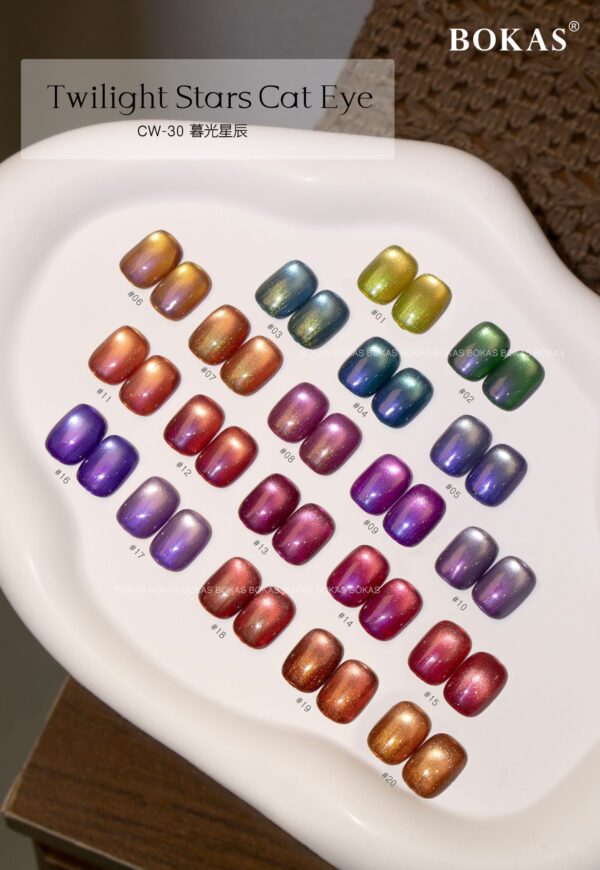 BOKAS CW-30 OEM/ODM 30 Colors Twilight Stars Cat Eye GeL Nail Polish