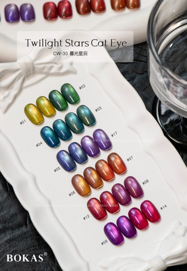 BOKAS CW-30 OEM/ODM 30 Colors Twilight Stars Cat Eye GeL Nail Polish