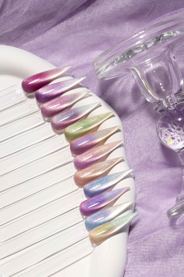 BOKAS AT-12 OEM/ODM 12 Colors Speedlight Cat Eye GeL Nail Polish